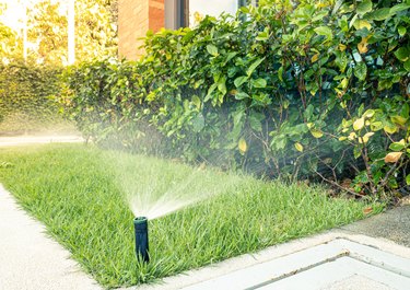 Automatic sprinkler system watering