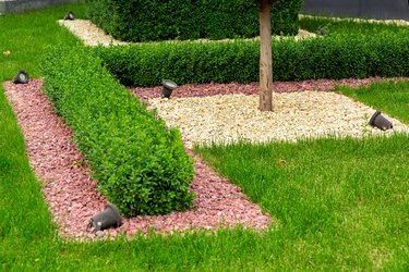 Landscape design with mulch pebbles on a lawn with boxwood bushes and a tree trunk and garden illumination lanterns, details closeup.
