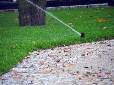 Automatic irrigation system, working sprinkler.