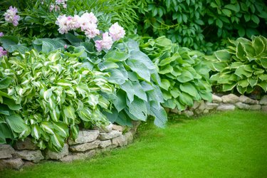 Beautiful garden with green grass