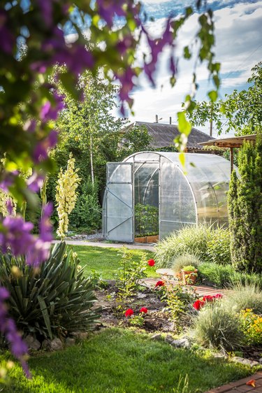 Greenhouse in back garden with open door