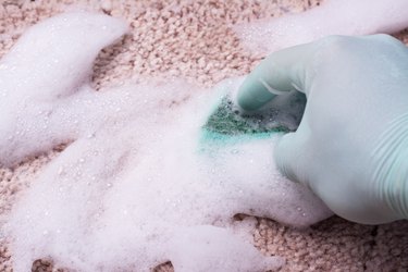 Cleaning carpet by hand with a sponge and foam cleaner.