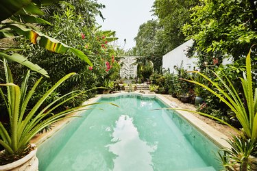 View of pool and backyard garden courtyard of home