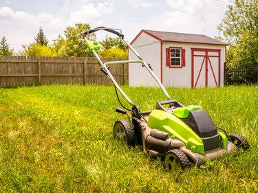 A strip of mowed grass