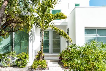 Luxury modern entrance architecture of house in Florida city island on travel, sunny day, property real estate with garden landscaping decoration, green glass windows