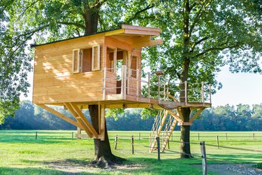 New wooden tree house in oak trees