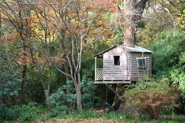 Tree house