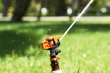Sprinkler head watering the grass