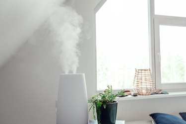 Humidifier adds water to the air by boiling water into steam. Reduces dry air, healthy home environment which can help relieve a stuffy nose. Health benefits. White bright home decor.