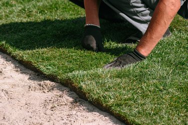 Laying sod for a new green lawn.