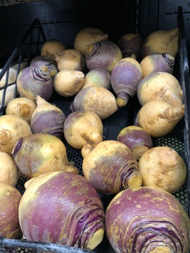 Rutabaga