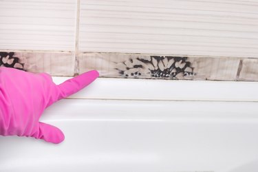 Removing mold and mildew from tile joints in the bathroom by woman hand in pink protective gloves, copyspace