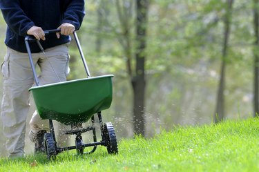 A man fertilizing a grassy lawn.