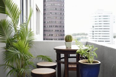Apartment balcony table with plants