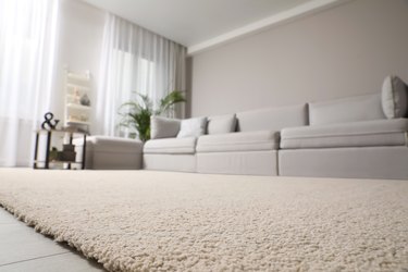 How Often Should Carpet Be Replaced?