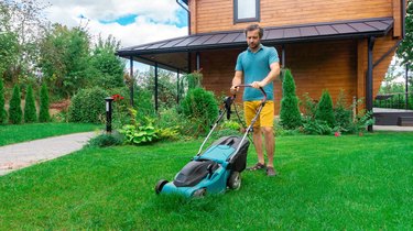 Lawn mowing with an electric lawn mower with a grass collector on a sunny summer day. A man mows the lawn in the garden of his house. An example of landscaping care.