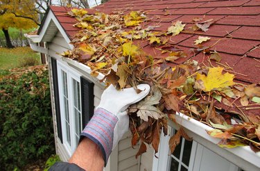 Nature, " Home Maintenance, Clearing Gutters "