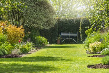 A rusty wrought iron white bench on the grass in a summer, sunny English Garden