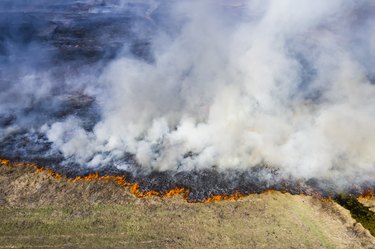 Aerial view of wildfire on the field. Huge clouds of smoke