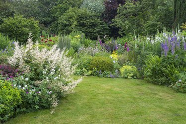 English country garden in late June