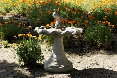 Concrete Birdbath in California Garden
