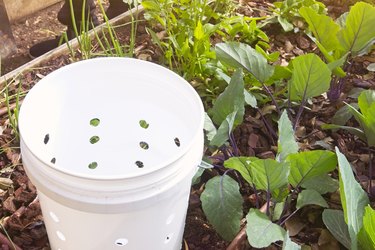 A lettuce bed with a self-prepared bucket designed for composting.