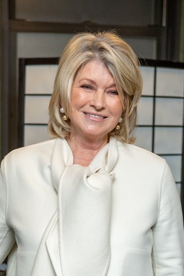 Seth Rogen & Martha Stewart In Conversation With Dr. Heather Berlin