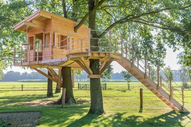 Wooden tree house in oak tree with grass