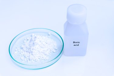 Boric acid, a chemical used in the laboratory.