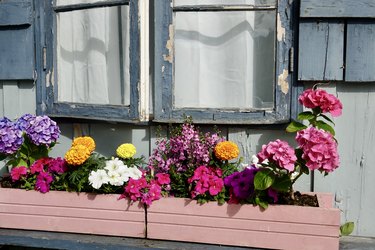 Shabby cottage with colorful flower boxes in the window