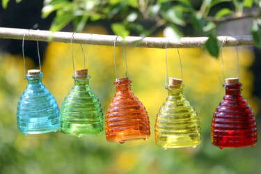 Yellow Jacket Trap with Lures, Glass Wasp Trap