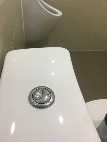 Flush button in toilet close.