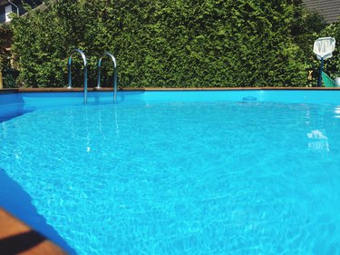 Swimming Pool Against Green Plants In Back Yard