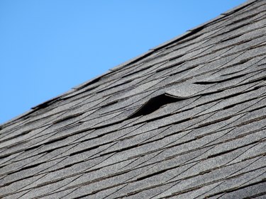 Damaged Roof Shingle