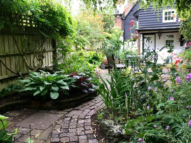 An English cottage garden