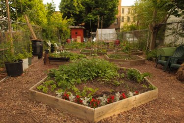 Brooklyn Community Garden