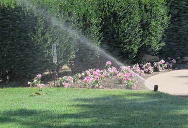 How to Replace a Sprinkler Head