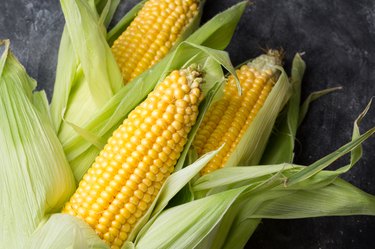 Fresh corn cob on dark background
