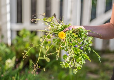 Woman holding a fist full of weeds