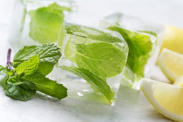 Mint leaves infused in ice cubes next to lemon slices
