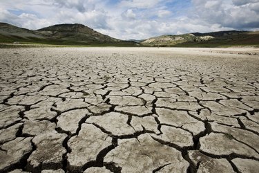 A lonely cracked earth desert floor