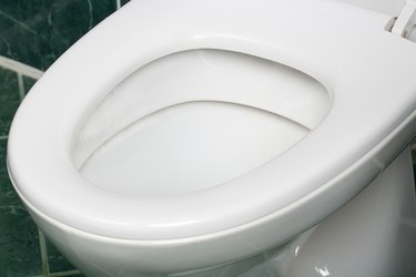 White flush toilet.