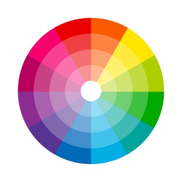 Color wheel isolated circle illustration vector