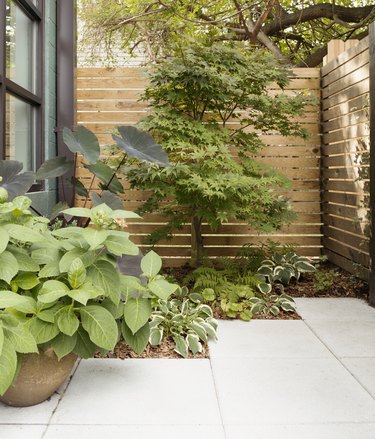 Why and When to Hire a Landscape Architect | Hunker