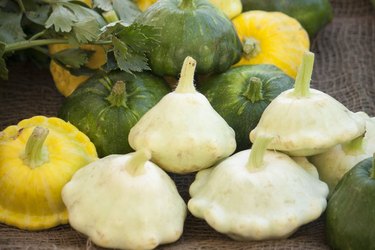 Pattypan squash green, yellow, white