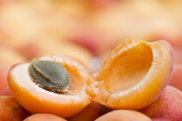 Apricot Close Up