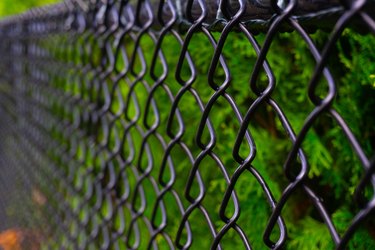 Black Chain Link Fence in Front of Green Hedging