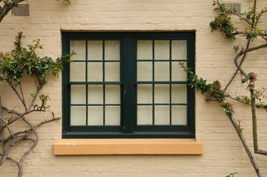 Dark-framed double window with vines.