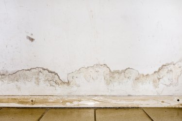 Flooding rainwater or floor heating systems, causing damage, peeling paint and mildew.