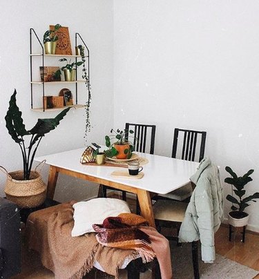 Minimal boho dining room with plants, white table, and black ladder-back chairs